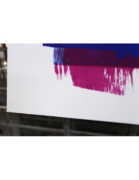 Mirjam Dijkema´s Test Print XII