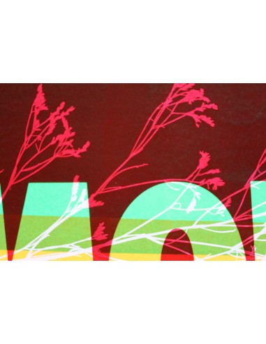 Amor con Flores